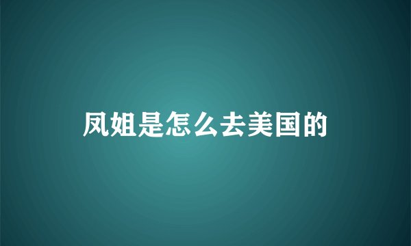 凤姐是怎么去美国的