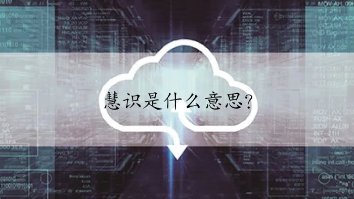 慧识是什么意思?