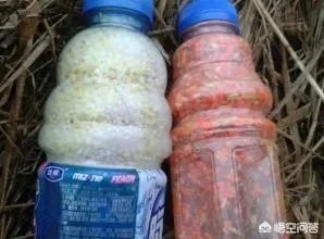 用剩下的大米饭如何能做出来鱼诱饵?