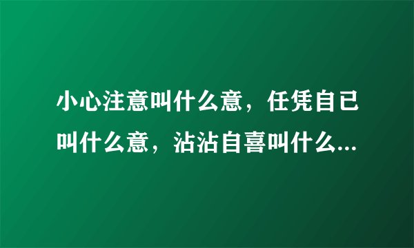 小心注意叫什么意,任凭自已叫什么意,沾沾自喜叫什么意,任意忘为叫什么意,心情爽快叫什么意,心术不正?