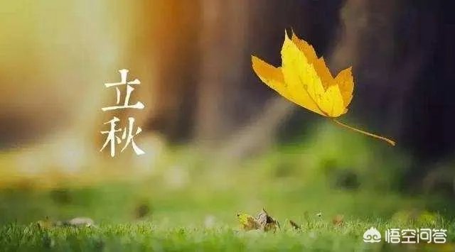 农村立秋当天忌讳