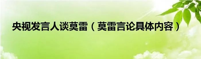 央视发言人谈莫雷（莫雷言论具体内容）