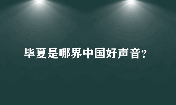 毕夏是哪界中国好声音?
