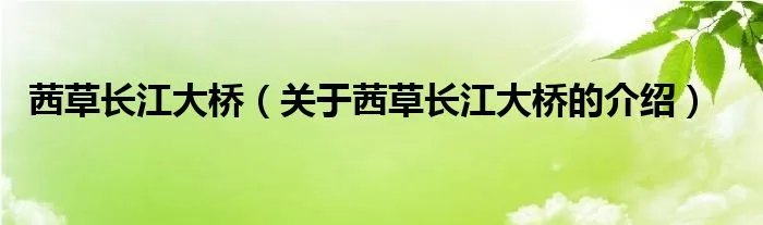 茜草长江大桥（关于茜草长江大桥的介绍）