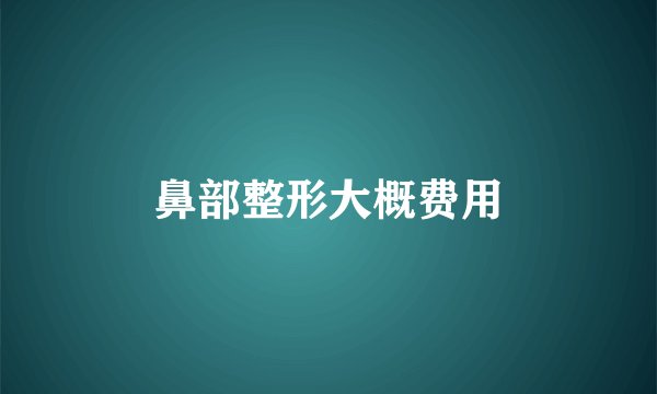 鼻部整形大概费用