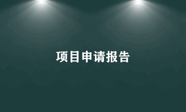 项目申请报告