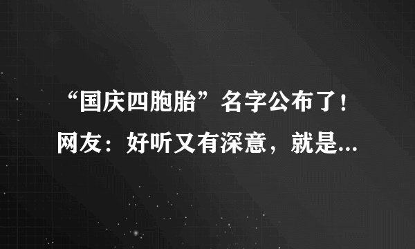 “国庆四胞胎”名字公布了!网友:好听又有深意,就是有点费笔芯