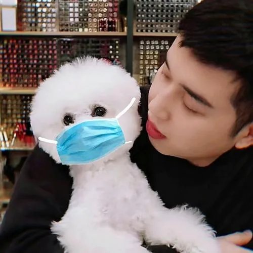 李佳琦带爱犬去宠物学校学习期间被拍到抽烟,大家如何看待?