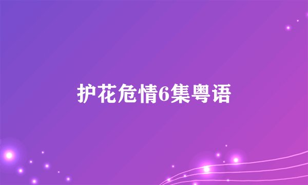 护花危情6集粤语
