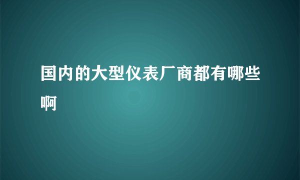 国内的大型仪表厂商都有哪些啊