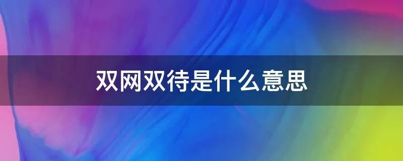 双网双待是什么意思