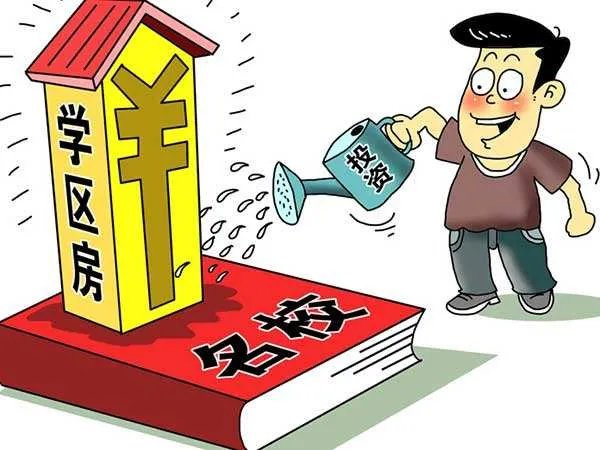 合肥学区划分是什么