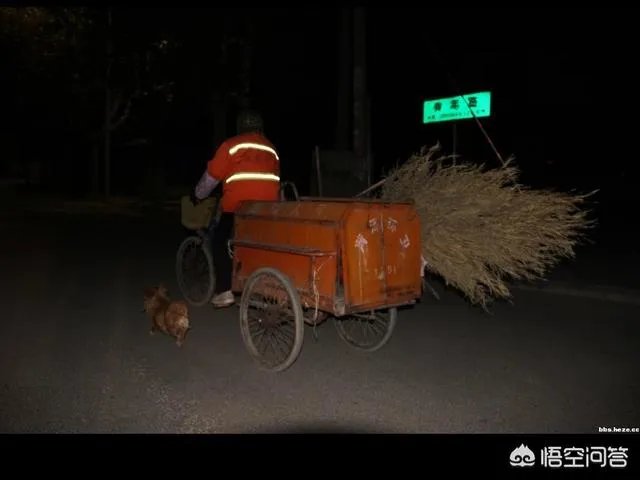 怎么看待环卫工这项工作,如果让你去做环卫工你愿意吗?
