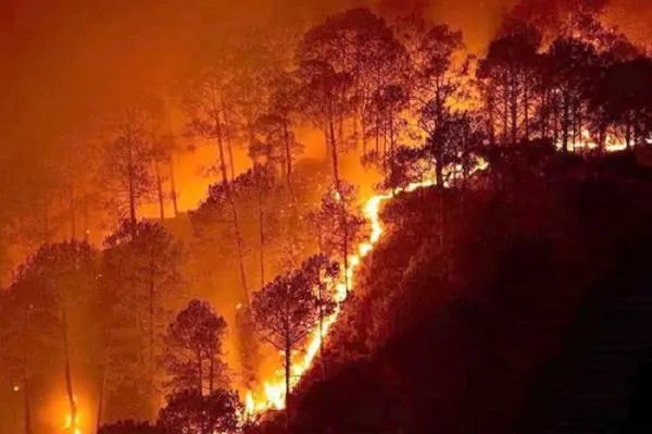 澳大利亚山火严重,这给当地居民造成了哪些影响?