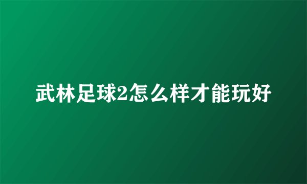 武林足球2怎么样才能玩好
