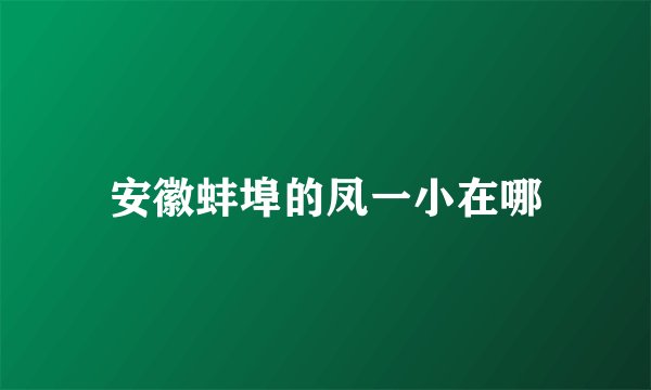 安徽蚌埠的凤一小在哪