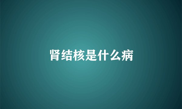 肾结核是什么病