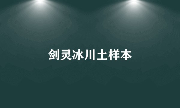 剑灵冰川土样本