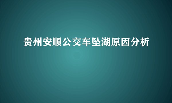 贵州安顺公交车坠湖原因分析