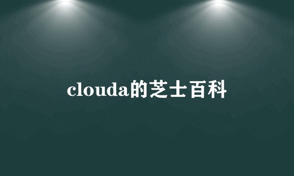 clouda的芝士百科