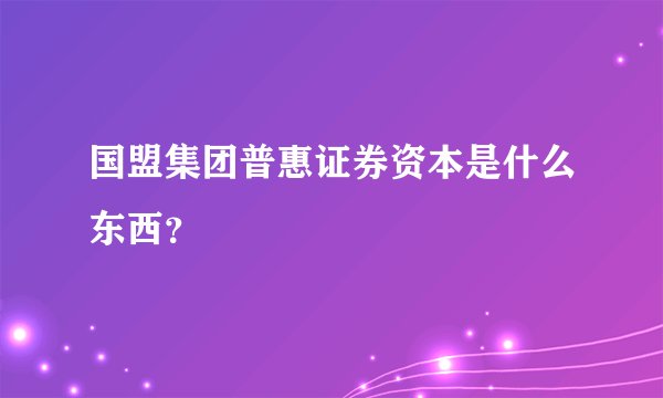 国盟集团普惠证券资本是什么东西？