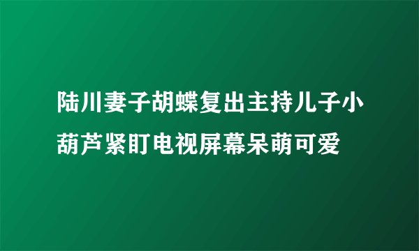 陆川妻子胡蝶复出主持儿子小葫芦紧盯电视屏幕呆萌可爱