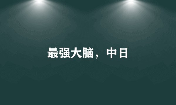 最强大脑，中日