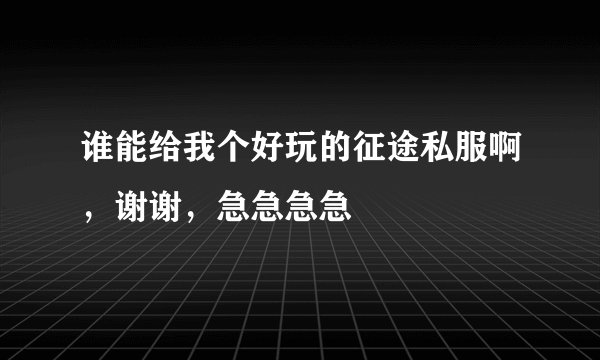 谁能给我个好玩的征途私服啊，谢谢，急急急急