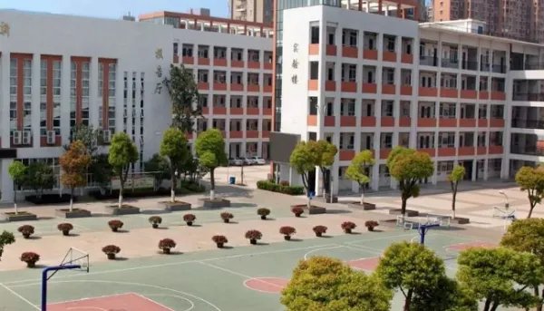 取消中外合作办学的大学名单是？