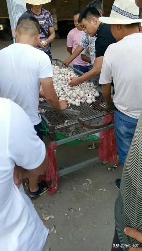大蒜降价了