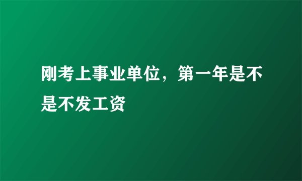 刚考上事业单位，第一年是不是不发工资