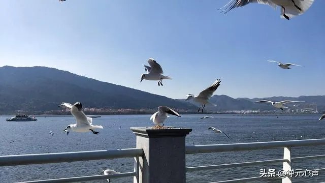 2021年的春节你是怎么过的?