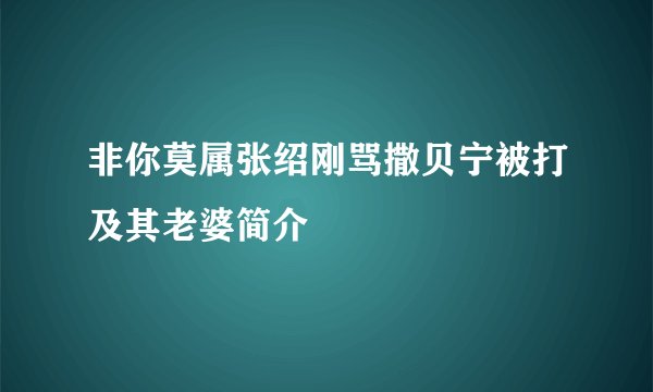 非你莫属张绍刚骂撒贝宁被打及其老婆简介