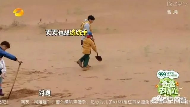 张亮的儿子天天如今长的怎样了?