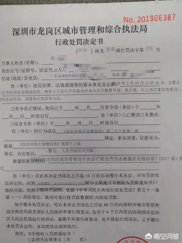 宠物狗不牵绳追撵9岁男童,深圳犬主被罚款500元, 你怎么看?