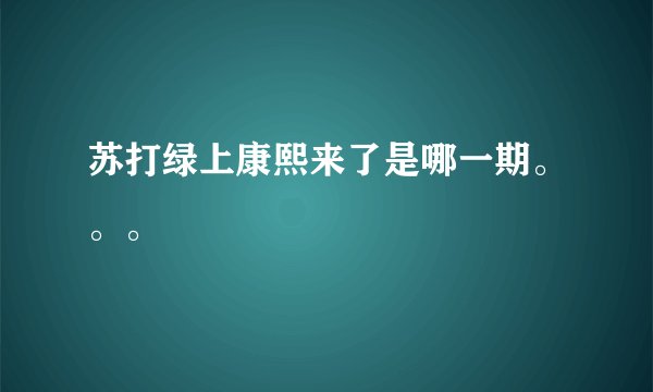 苏打绿上康熙来了是哪一期。。。