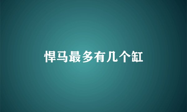 悍马最多有几个缸