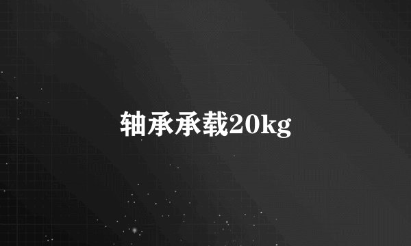轴承承载20kg