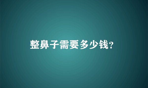 整鼻子需要多少钱？