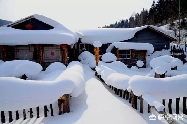 明知道雪乡宰客，为什么还有人要去，不能找正规旅行社吗？