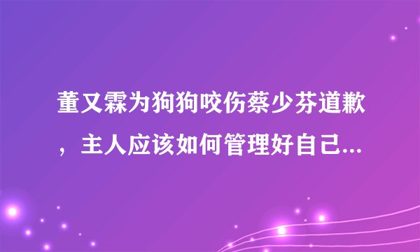 董又霖为狗狗咬伤蔡少芬道歉,主人应该如何管理好自己的宠物?