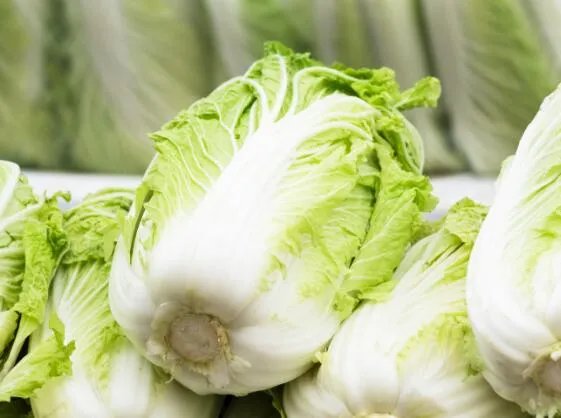 100g大白菜和柠檬维C含量更高的是哪个