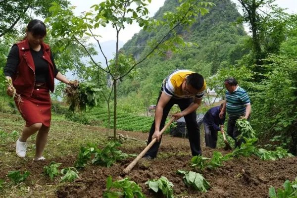 全国妇联倡议妇女勤俭持家,这个倡议是因为粮食危机吗?