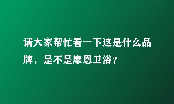 请大家帮忙看一下这是什么品牌，是不是摩恩卫浴？