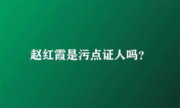 赵红霞是污点证人吗?