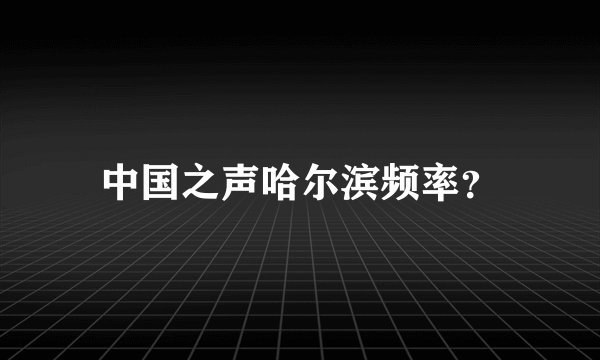 中国之声哈尔滨频率？