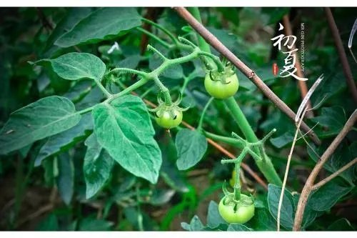 惊蛰夏至霜降冬至分别是几月几号