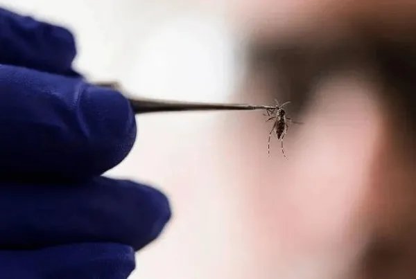 你如何看待中山大学研究用核技术灭蚊子这件事?
