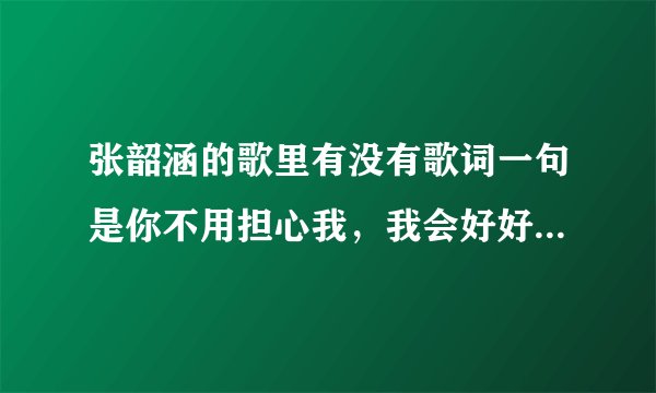 张韶涵的歌里有没有歌词一句是你不用担心我，我会好好的是什么歌名啊