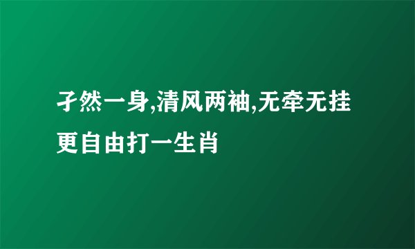 孑然一身,清风两袖,无牵无挂更自由打一生肖